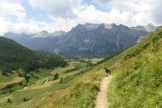 IMG_0416