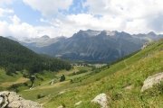 IMG_0422
