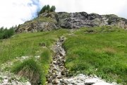 IMG_0423