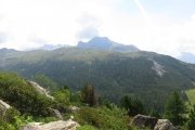 IMG_0430