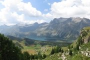 IMG_0431