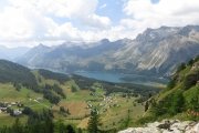 IMG_0433
