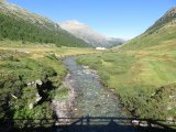 IMG_0005