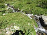 IMG_0011