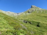 IMG_0017