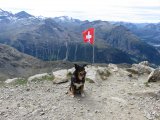 IMG_0241