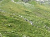IMG_0285