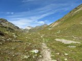 IMG_0031