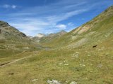 IMG_0040