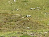 IMG_0041