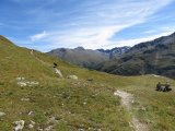IMG_0046