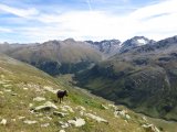 IMG_0091