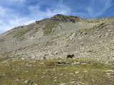 IMG_0107