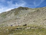 IMG_0113