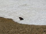 IMG_0203