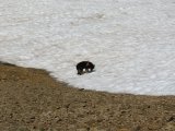 IMG_0204