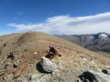IMG_0303