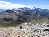 IMG_0317