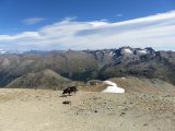 IMG_0335