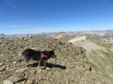 IMG_0343