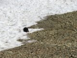 IMG_0375