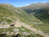 IMG_0400