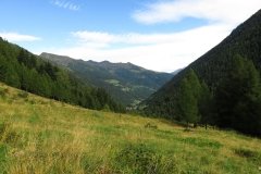 IMG_0001