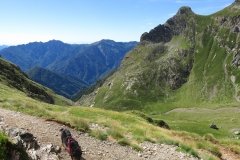 IMG_0018