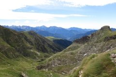 IMG_0050