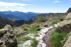 IMG_0086