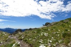 IMG_0093