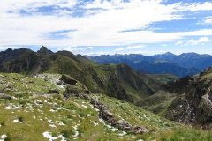 IMG_0110