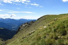 IMG_0147