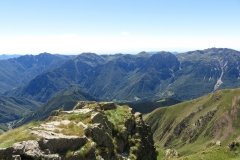 IMG_0201