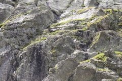 IMG_0212
