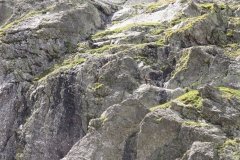 IMG_0214