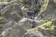 IMG_0216