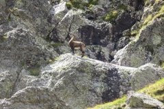 IMG_0225