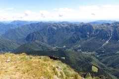 IMG_0290
