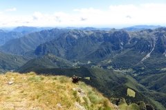 IMG_0291