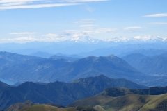 IMG_0309