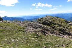 IMG_0333