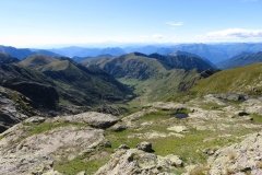 IMG_0352