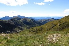 IMG_0356