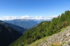 IMG_0392