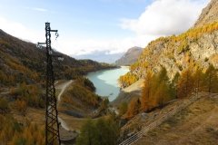 IMG_0001