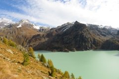 IMG_0015