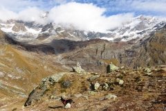 IMG_0065