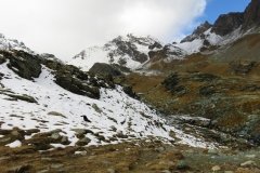 IMG_0080