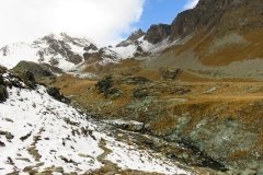 IMG_0081